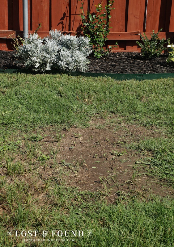 bare spots in your lawn