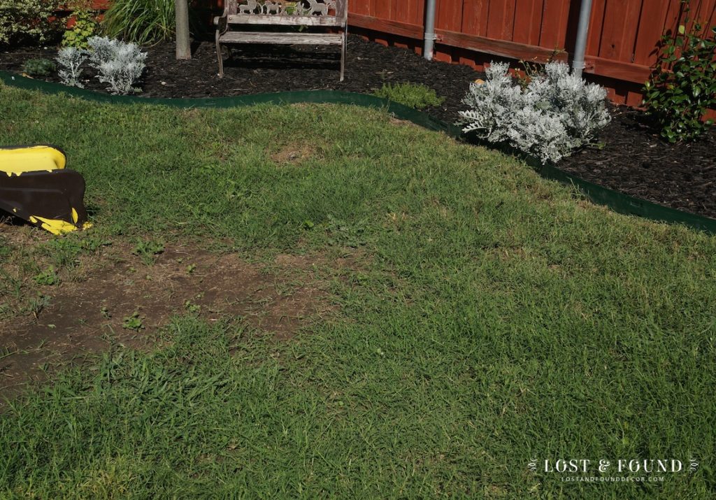 how to fill in bare spots in your lawn