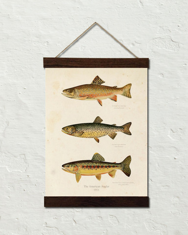 24x30_Trout_Canvas_Bars_Stucco_Wall_Template_large