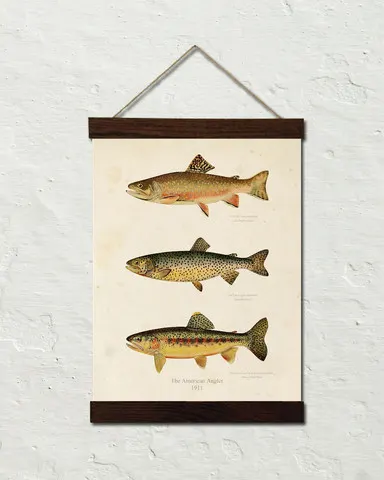 24x30_Trout_Canvas_Bars_Stucco_Wall_Template_large