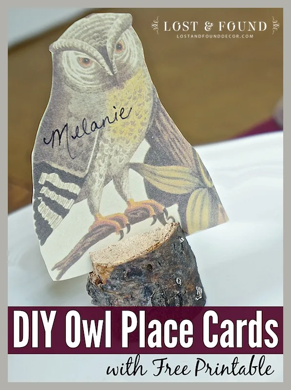 DIY Owl Place cards with free printable