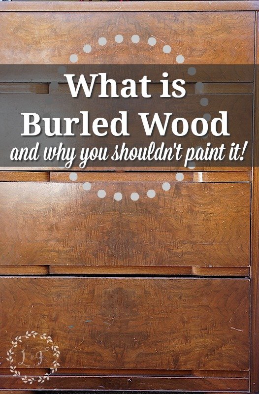 what is burled wood and why you shouldn't paint it