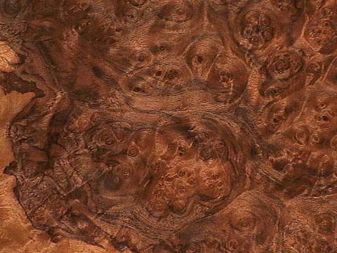 walnut_cluster_burl