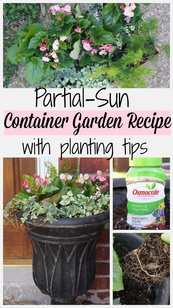 partial sun container garden