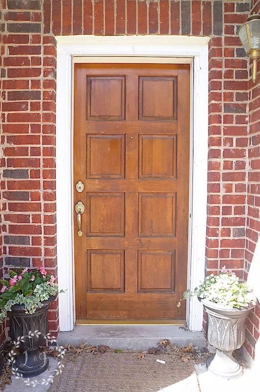 original door