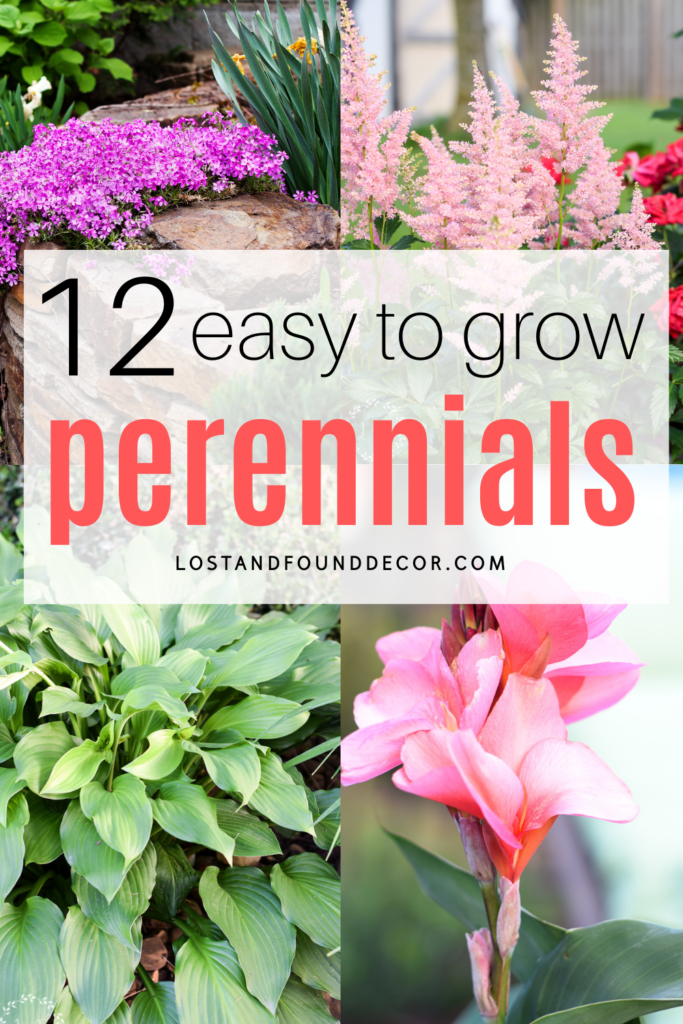 12 Best Perennial Plants for a LowMaintenance Garden Lost & Found Decor