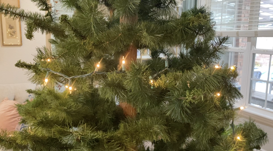 hang lights on a christmas tree