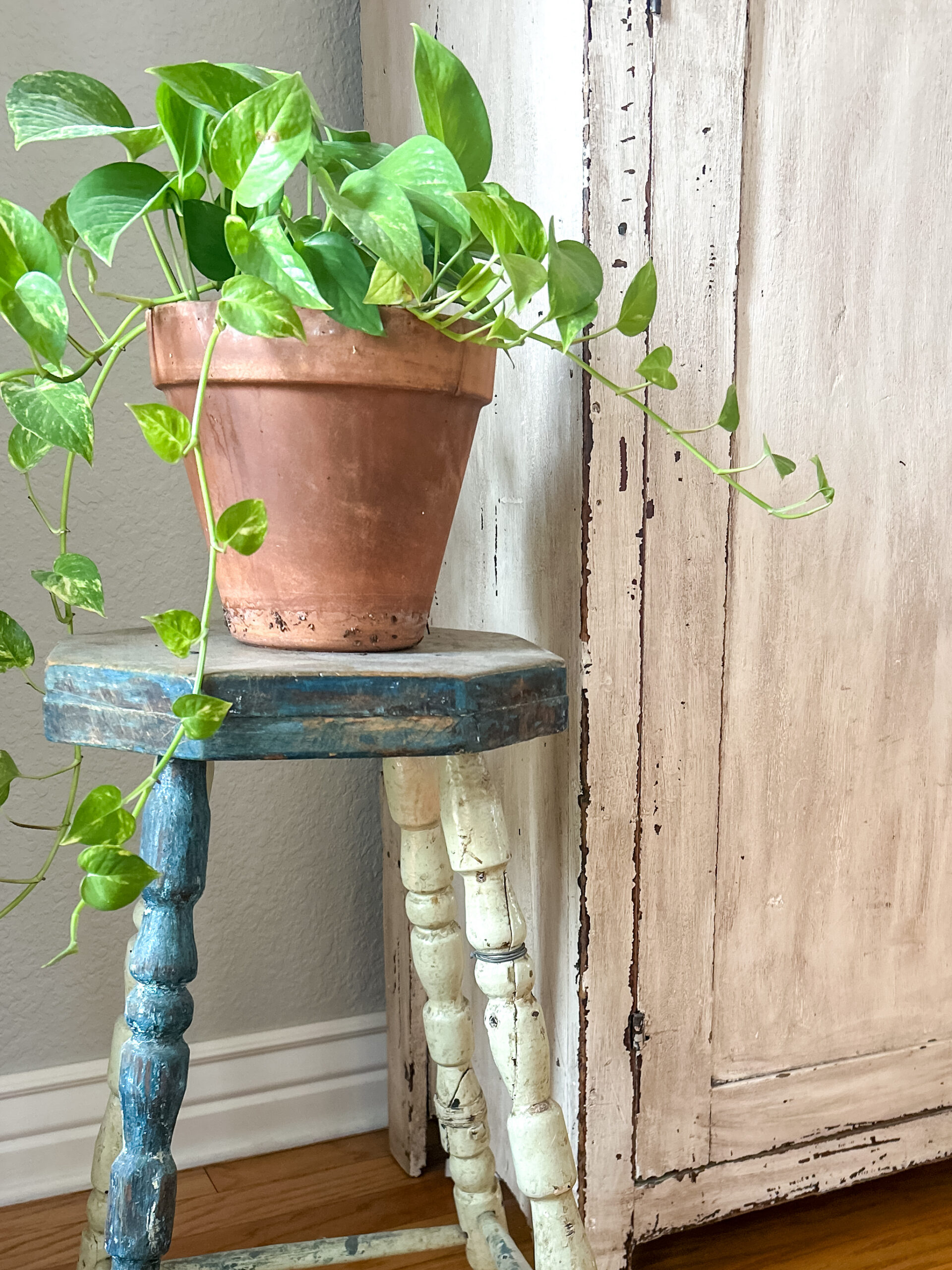 stool with plant